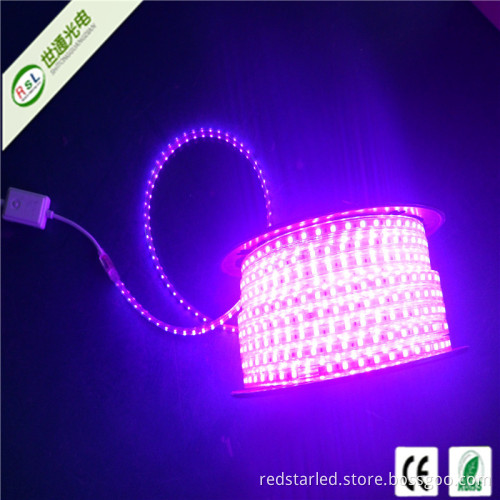 LED Strip 220V